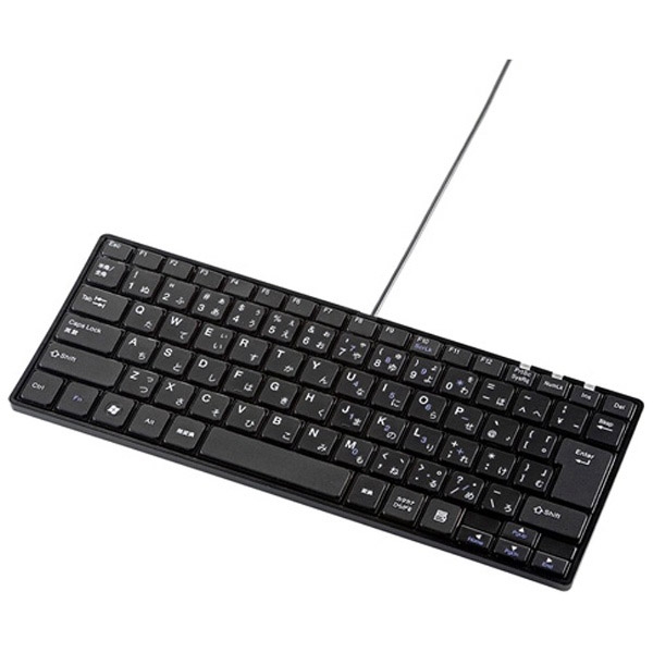 Keyboard Sanwa Supply SKB-SL20BK Black