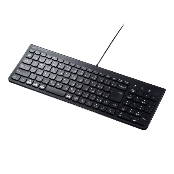 Keyboard Sanwa Supply SKB-SL31BK black