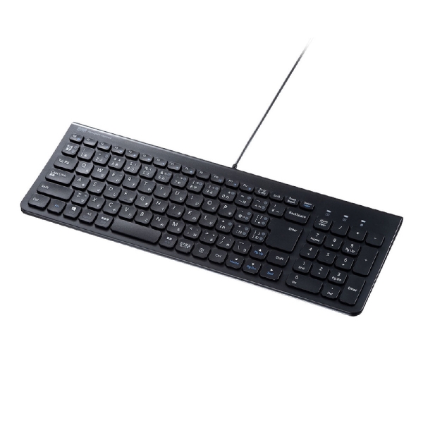 Keyboard Sanwa Supply SKB-SL31CBK black