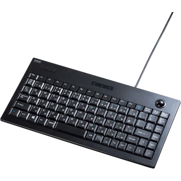 Sanwa Supply SKB-TR03BK Keyboard