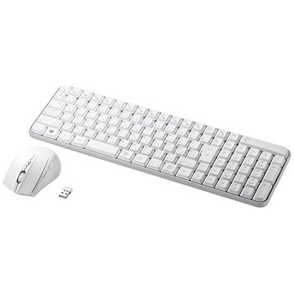 Keyboard Sanwa Supply SKB-WL25SETW white