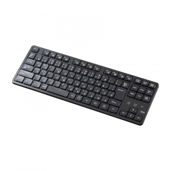 Keyboard Sanwa Supply SKB-WL38BK