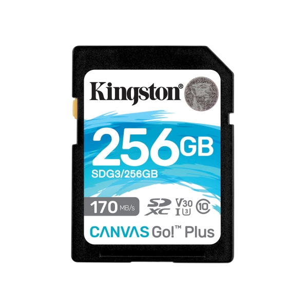 SD Card Kingston SDG3/256GB 256GB