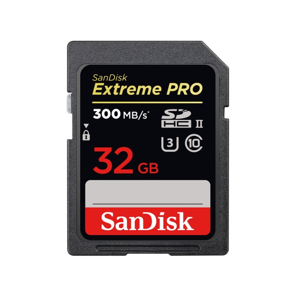 SD Card SANDISK SDSDXPK-032G-JNJIP 32GB