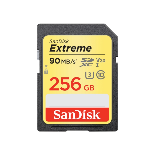 SD Card SANDISK SDSDXVF-256G-GNCIN 256GB