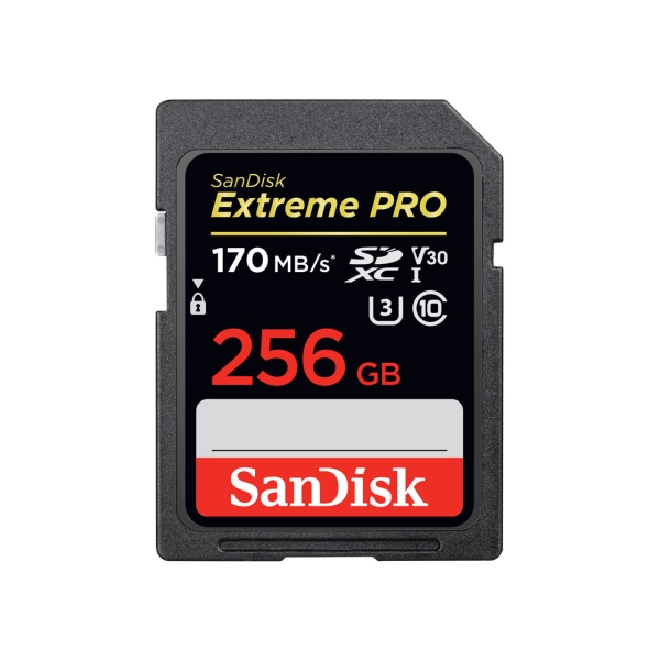 SD Card SANDISK SDSDXXY-256G-GN4IN 256GB