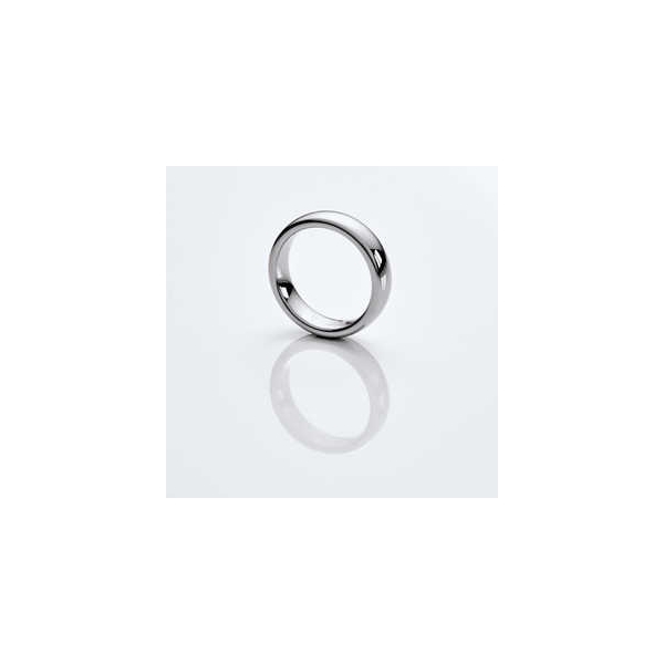 Smart Ring EVERING EVERING 12.5 size EV-SL125 silver Electronic Goods Wearable Devices