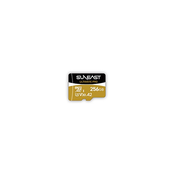 SUNEAST SE-MSDU1256B185 256GB SD Card