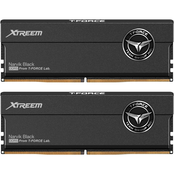 Team FFXD532G8000HC38DDC01 DDR5 PC5-64000 16GB 2 pieces set Memory