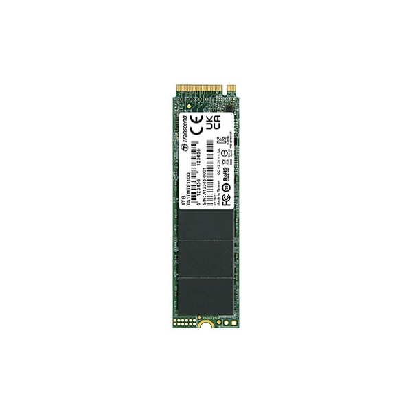 SSD Transcend TS1TMTE110Q