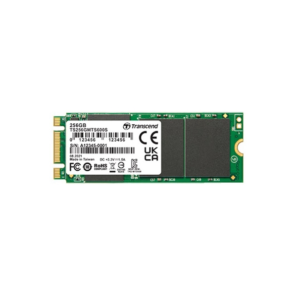 Transcend TS256GMTS600S SSD