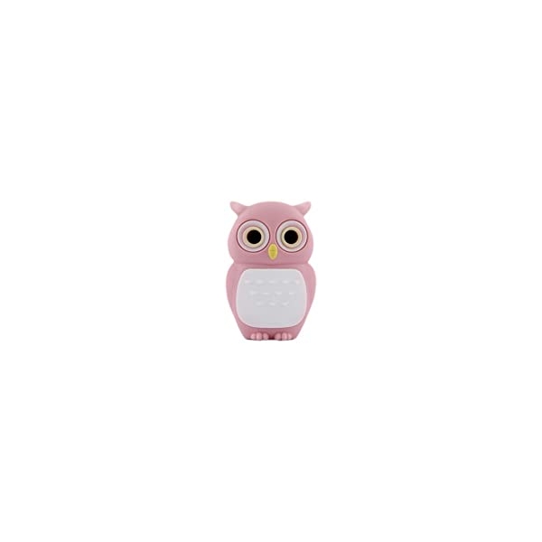 USB Flash Drive CUT&PASTE Owl Driver DR10021-4P 4GB pink