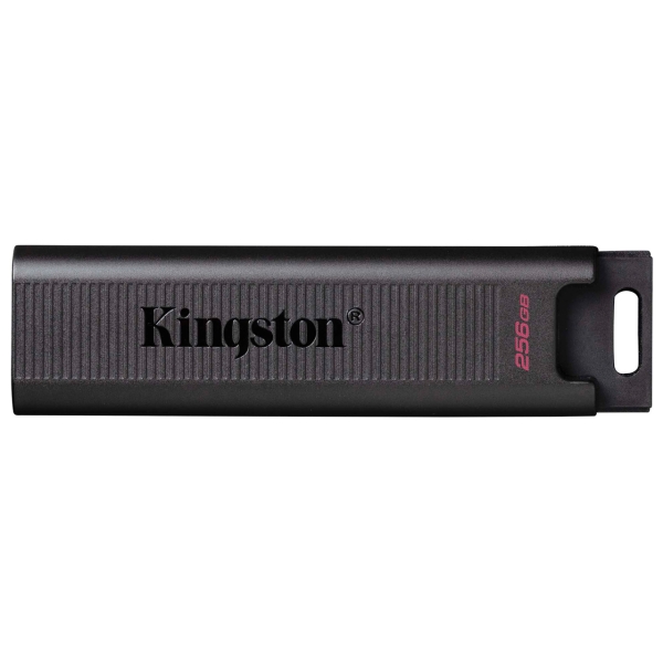 USB Flash Drive Kingston DataTraveler Max DTMAX / 256GB 256GB