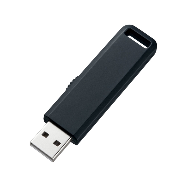 USB Flash Drive Sanwa Supply UFD-SL2GBKN 2GB Black