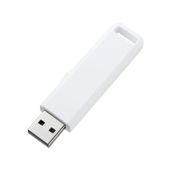 USB Flash Drive Sanwa Supply UFD-SL2GWN 2GB white