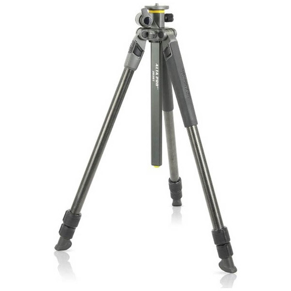 Camera Tripod & Monopod VANGUARD Alta Pro 2+ 263CT gray Tripods & Monopod