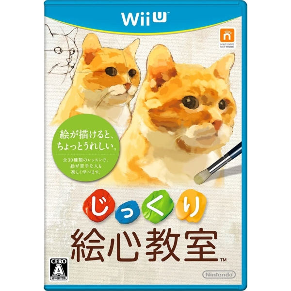 Nintendo carefully art class [Wii U]