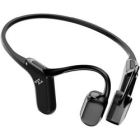 Preseed Japan AVIOT Openpiece Elite WB-E1-BK metallic black Earphone Headphone Japanese version