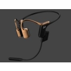 Preseed Japan AVIOT Openpiece Elite WB-E1M-GL bronze gold Earphone Headphone Japanese version