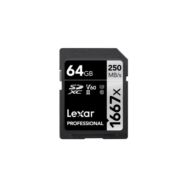 Lexar LSD64GCB1667 64GB SD Card