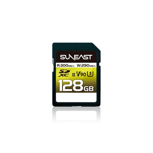 SD Card Asahi East Electronics SE-SDU2128GA300 128GB