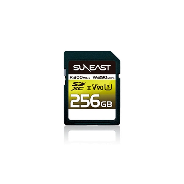 SD Card Asahi East Electronics SE-SDU2256GA300 256GB