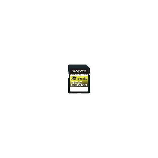 SD Card Asahi East Electronics SE-SDU2256GB280 256GB