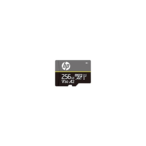 SD Card HP HFUD256-MX350 256GB