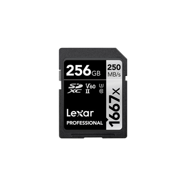 SD Card Lexar LSD256CB1667 256GB