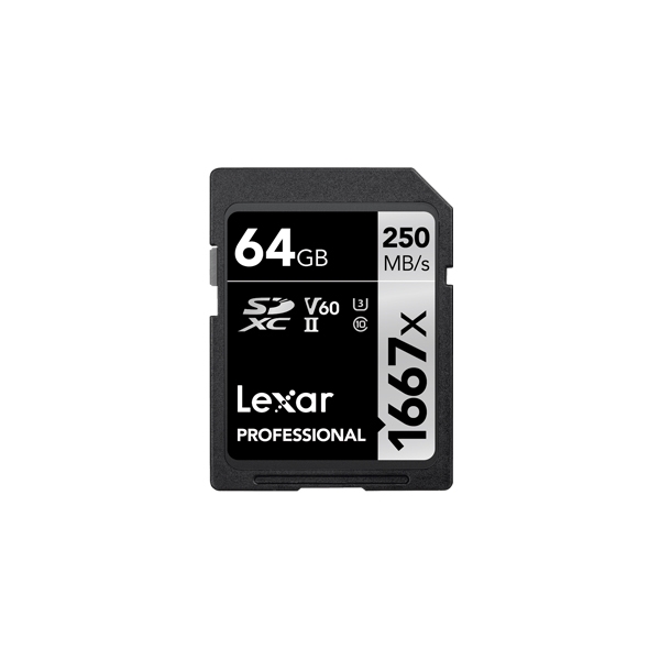 SD Card Lexar LSD64GCBJP1667 64GB