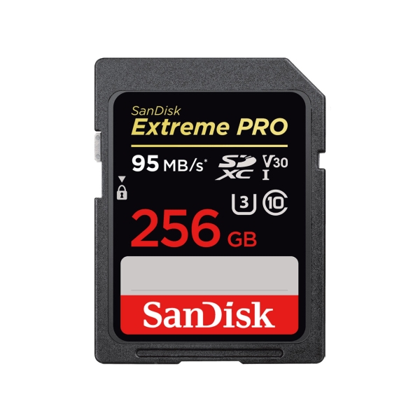 SD Card SANDISK SDSDXXG-256G-JNJIP 256GB