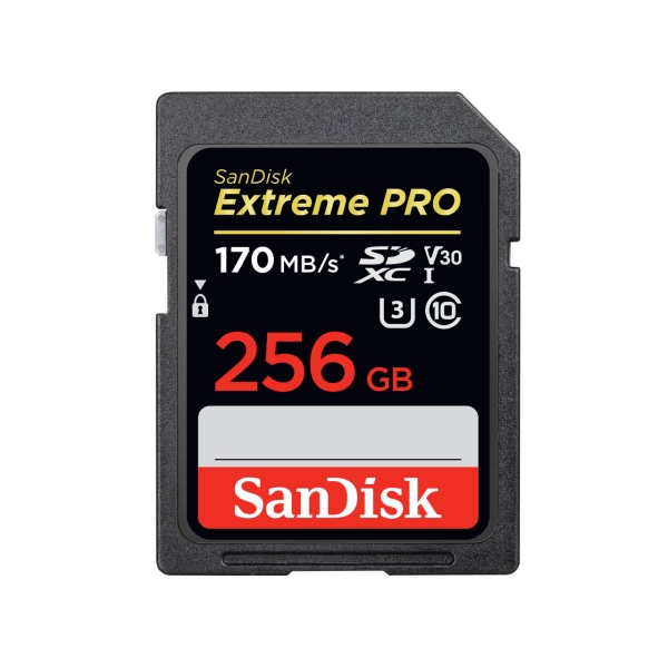 SD Card SANDISK SDSDXXY-256G-JNJIP 256GB